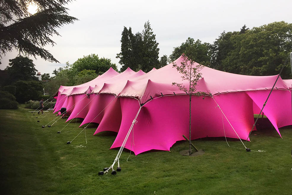 Pink stretch tent with pink walling